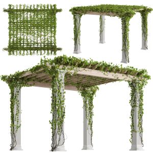 Classic Pergola With Ivy V2