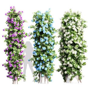 Climbing Roses Cylinder Columns