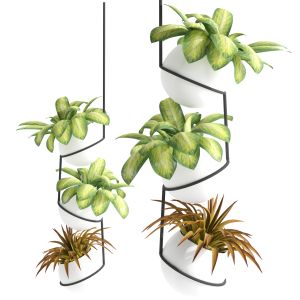 Hanging Metal Plant Pot