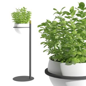 Metal Plant Pot