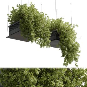 Collection Outdoor Indoor Plants Hanging Pot 14