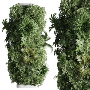 Column Plant  Pillar Plant 04