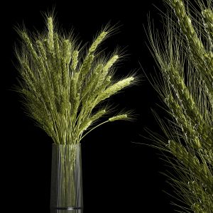 Bouquet Of Green Ears Of Wheat In A Vase