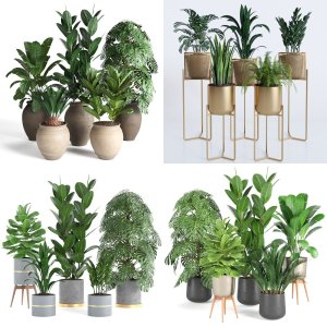 Plant set 1 to 4 collection vol.1