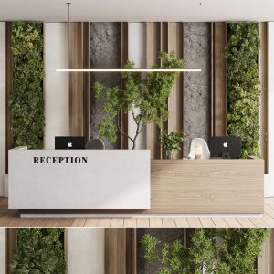 Reception Desk And Wall Decor - Office Furniture 2