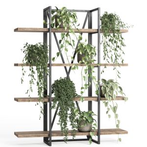 Indoor Plant Stand 02_metal And Wood