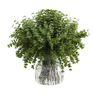 Branches Plant With Galss Vase White - Bouquet 36