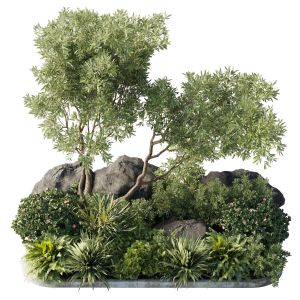 Collection Outdoor Indoor 165 Pot Plant Tree Bush