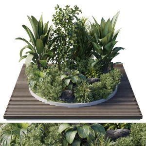 Garden Of Plants Shrubs Palm - Outdoor Garden Set