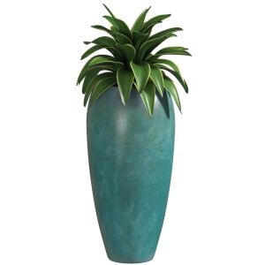 Agave Plant In Tall Modern Vase