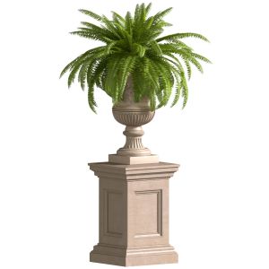 Fern In A Classic Vase Flowerpot