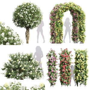 10 Different SETS of Bush Flowers. SET VOL02