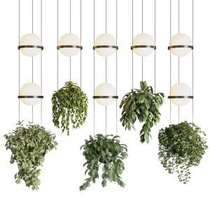 Vibia Palma Pot Light Pendant - Plant Light Hangin