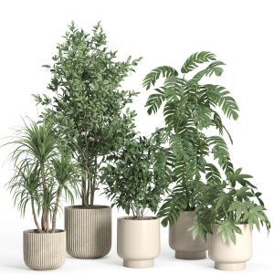 Indoor Plant Set 57-concrete And Ceramic