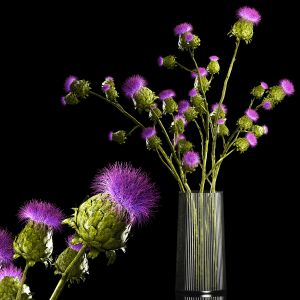 Beautiful Bouquet Of Dried Thistle Thorn Flowers