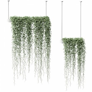 Plants In Hanging Flower Pots. 2 Models