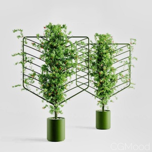 Helen Kontouris – Botanical Planter Screens