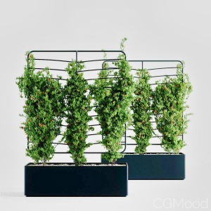 Helen Kontouris – Botanical Planter Screens