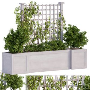 Outdoor Plants With Ivy And Fence White