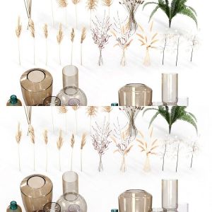 Decorative Set No3 (10 Vases - 20 Plants) Vray and Corona