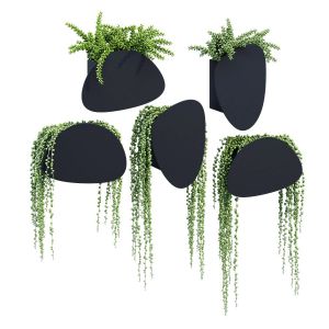 Pavo Planters