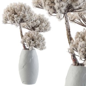 Dry Decorative Plant - Set 12