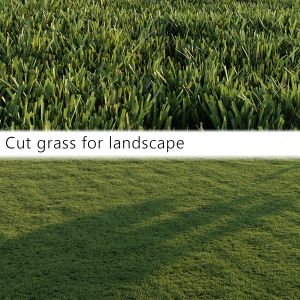 Cut Grass For Landscape