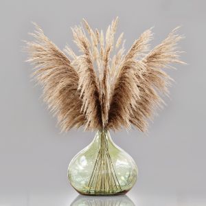 Luxury Pampas Grass