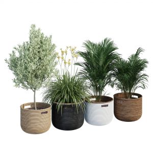 Bamboo Baskets One