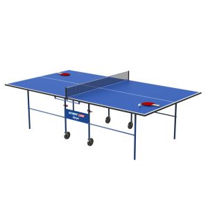 Ping Pong Table