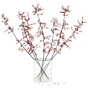 Autumn Branches In Glass Vase (corona Reissue)