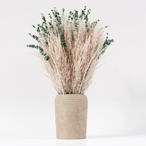 Indoor Pampas Plant 03