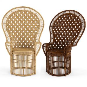 Net Heirloom Rattan Peacock Chair