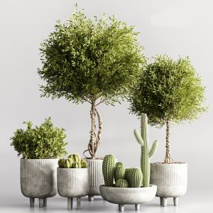 Plant Collection Set