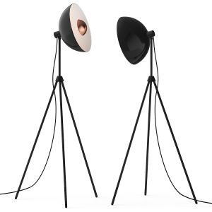 Apollo Seed Design Floor Lamp