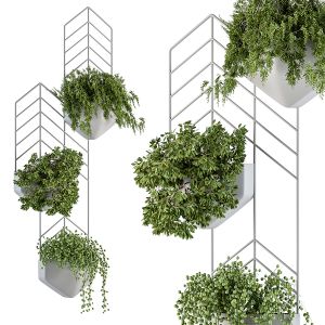 Plant Pot On Wall - Indoor Plants 292