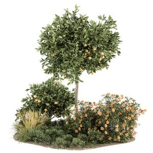 Garden Set Lemon Tree And Bush - Garden Set 26