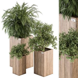 Outdoor Plant Set 297 - Wooden Plant Box