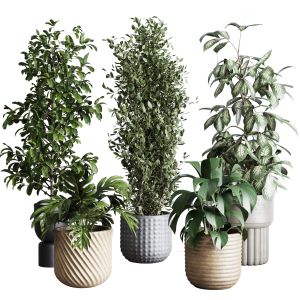 Collection Indoor Plant 277 Pot Concrete Dirt Vase