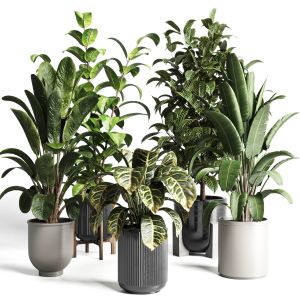 Collection Indoor Plant 276 Pot Concrete Dirt Vase