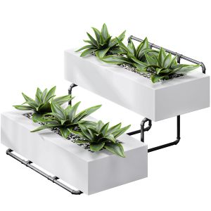 Showcase Office Plants Execuflora Air Purifying