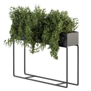 Indoor Plant Set 299 - Plant Box Set