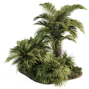 Garden Set Tropical - Outdoor Plants 291