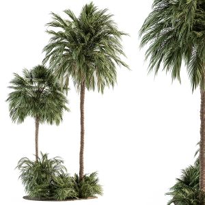 Garden Set Tropical Plants - Garden Set 28