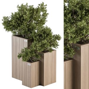 Outdoor Plant Set 298 - Wooden Plant Box