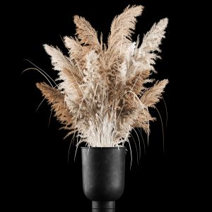 Bouquet Of Dry Reeds In A Black Metal Pot