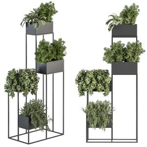 Indoor Plant Set 284 - Plant Box Set