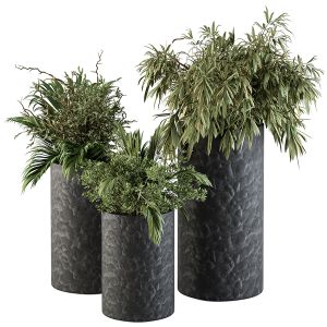 Outdoor Plant Set 293 - Plant Set In Concrete Pot