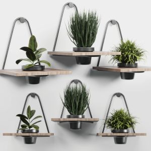 Wall Plant Collection Indoor Plant 279 Metal Wal