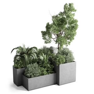 Garden Plants In Concrete Boxes Standing Set